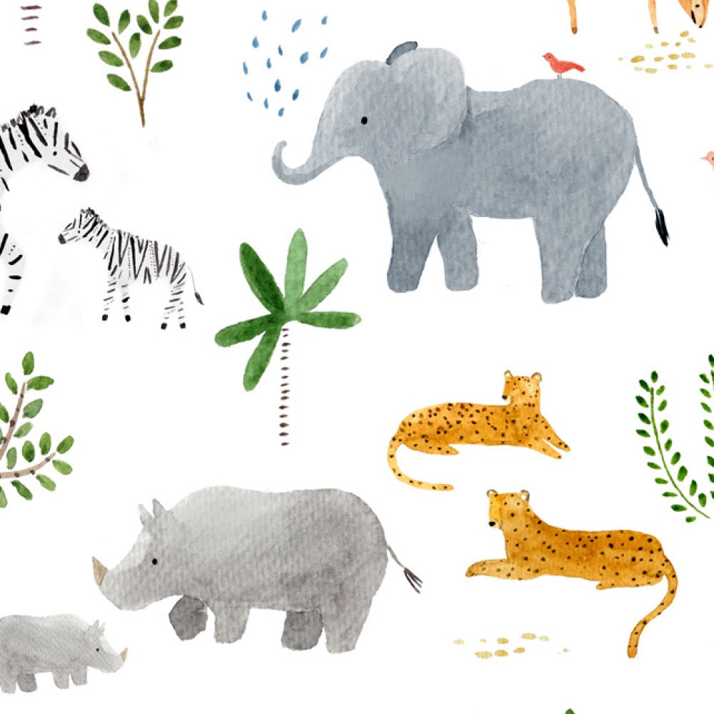 Safari Jungle