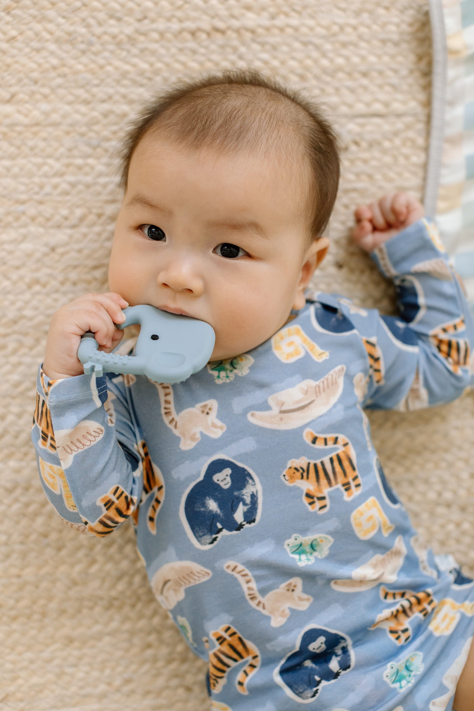 Combinaison à manches longues-Jungle-Friends-1