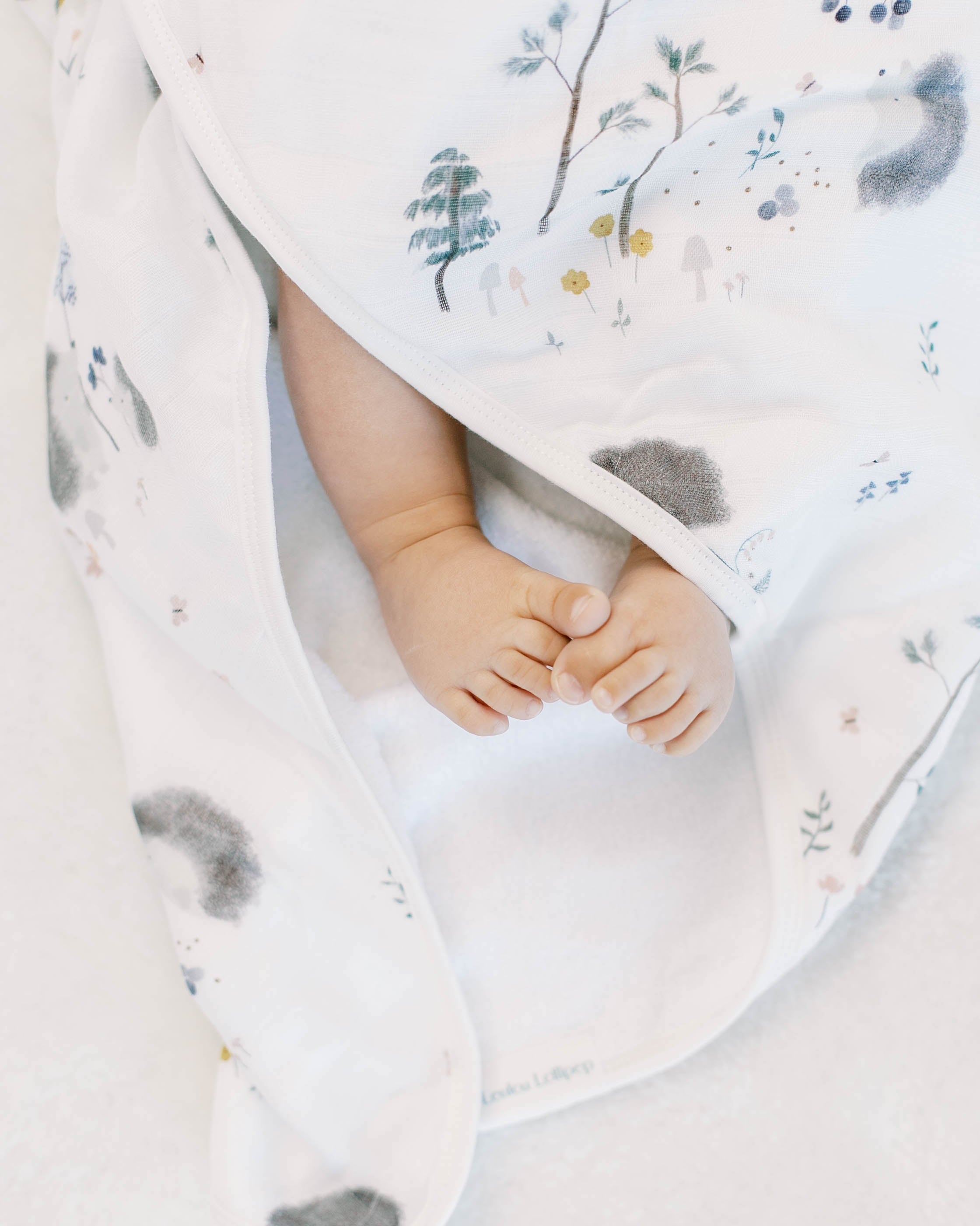 Ensemble Hérissons serviettes à capuche-Hérissons-2