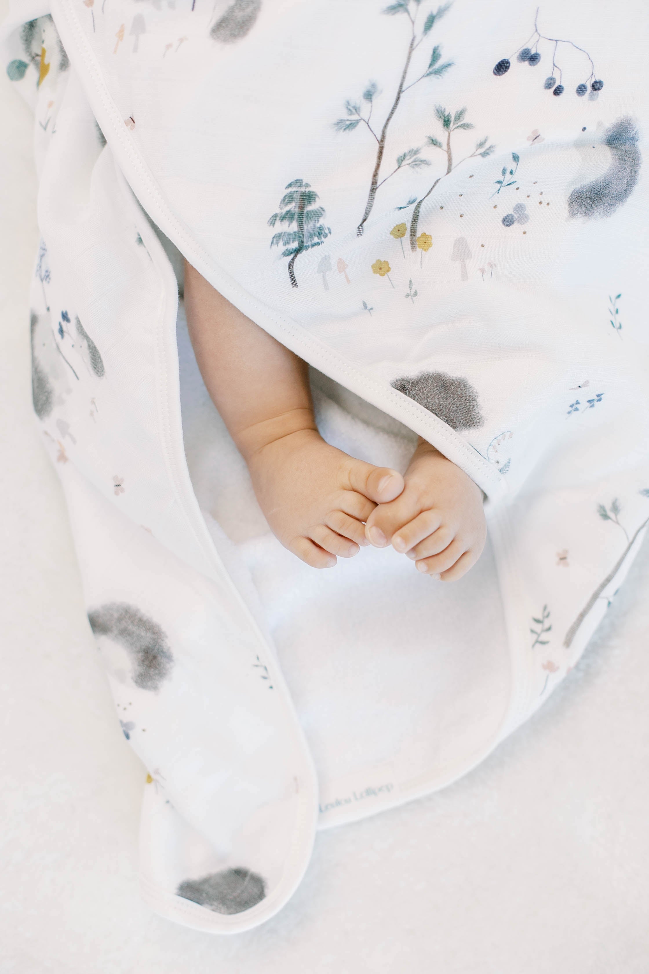 Ensemble Hérissons serviettes à capuche-Hérissons-2