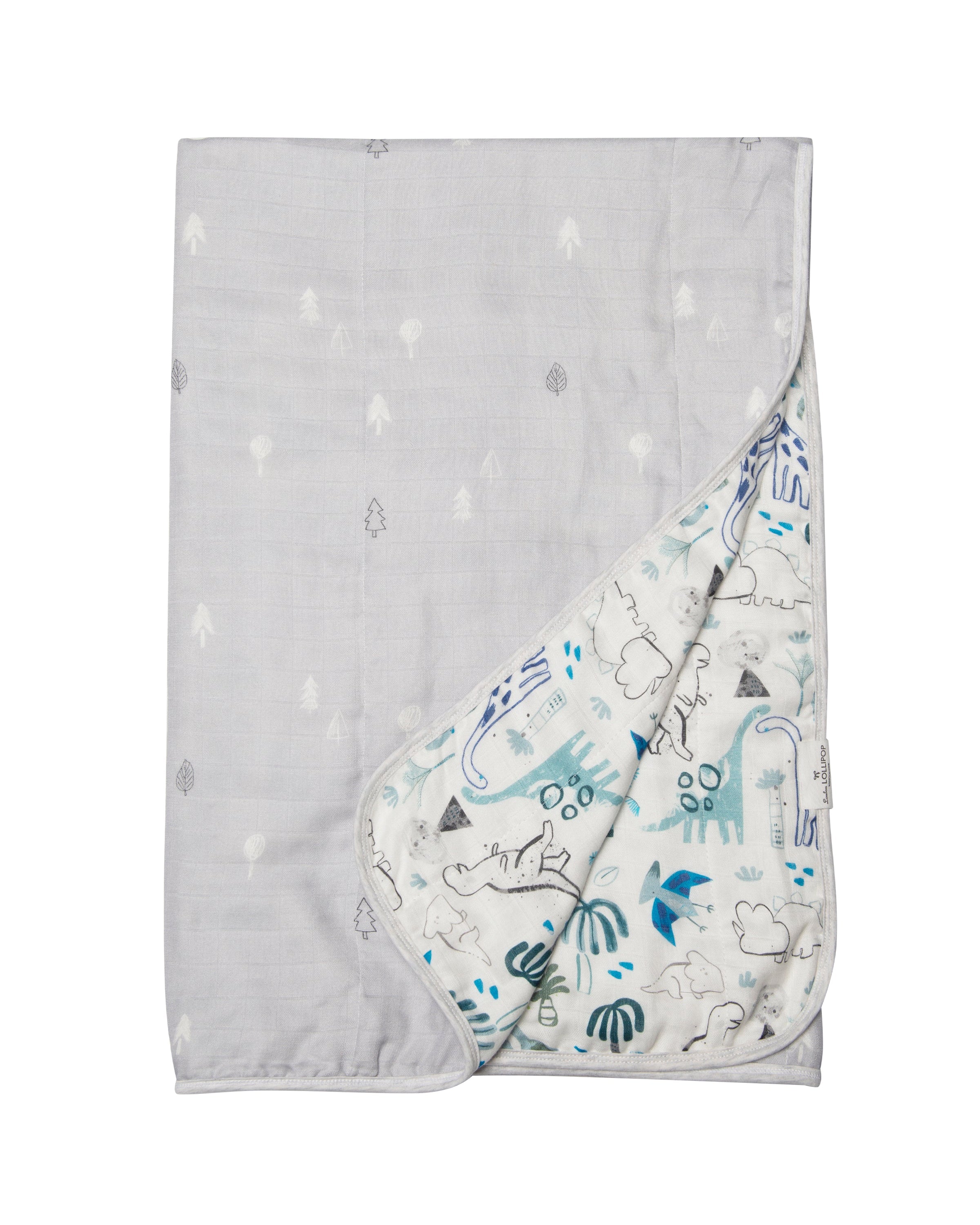 Muslin-Quilt-Dinosaurs-2