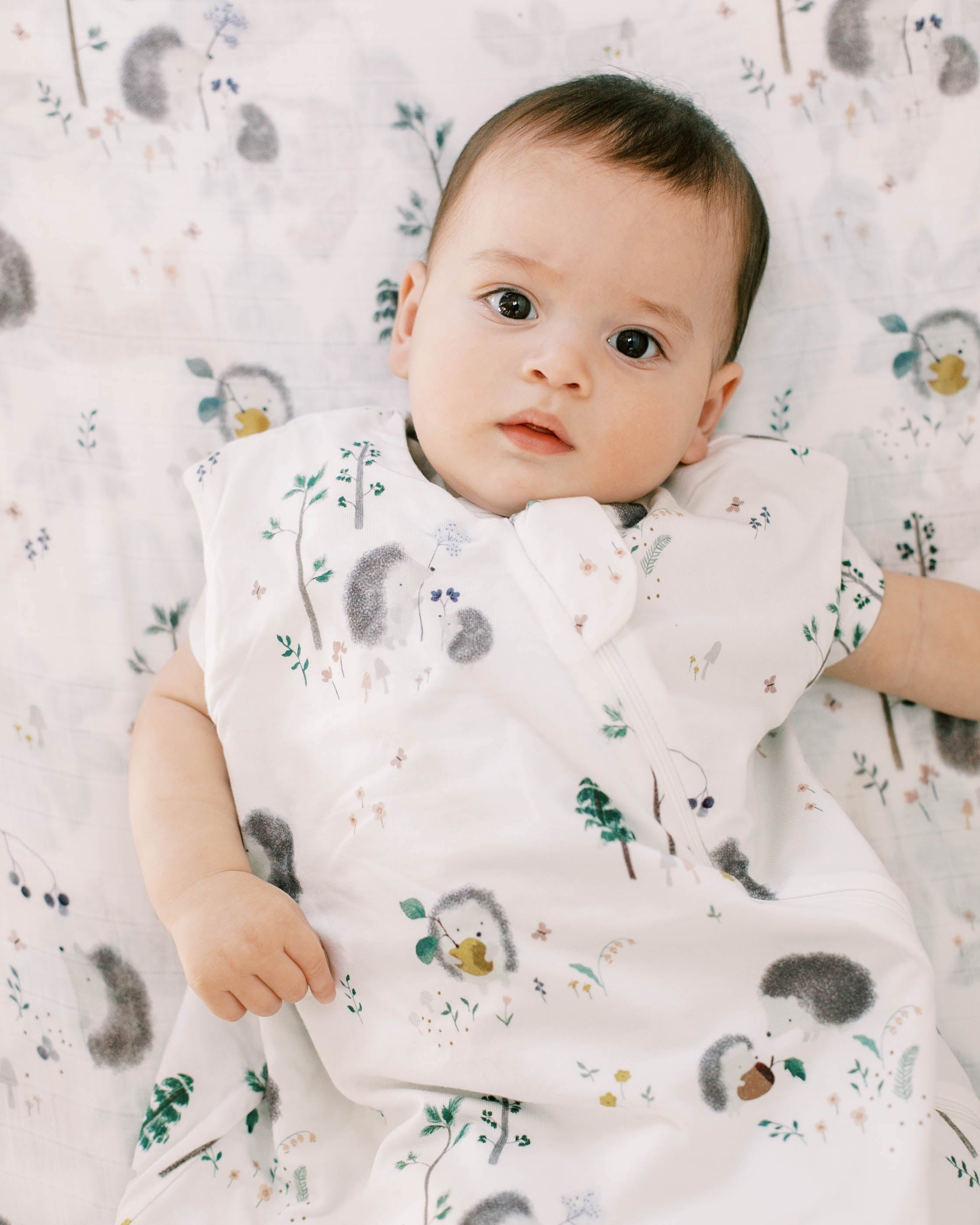 Sac de couchage Tencel-1.Hérissons