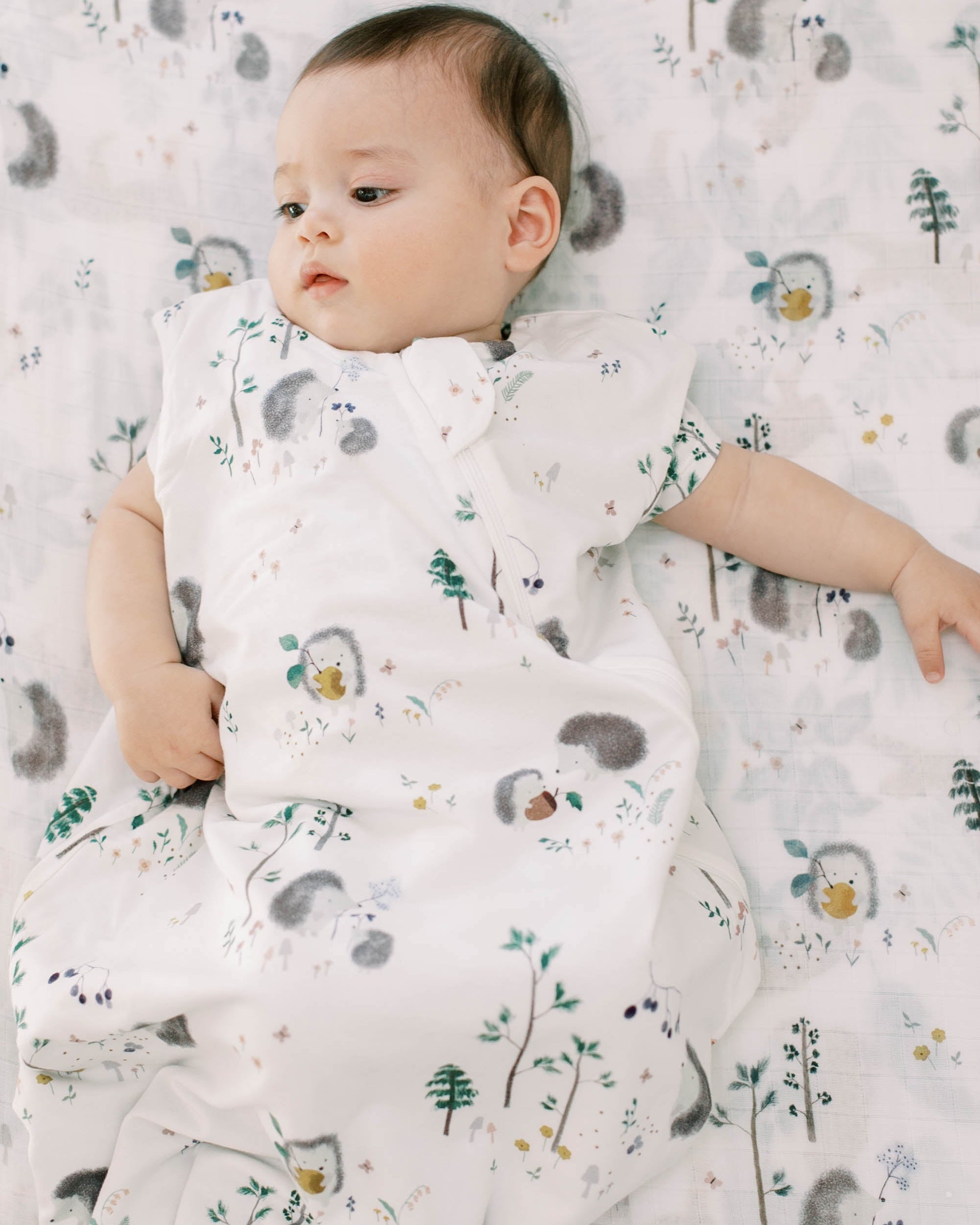 Sac de couchage Tencel-1.Hérissons