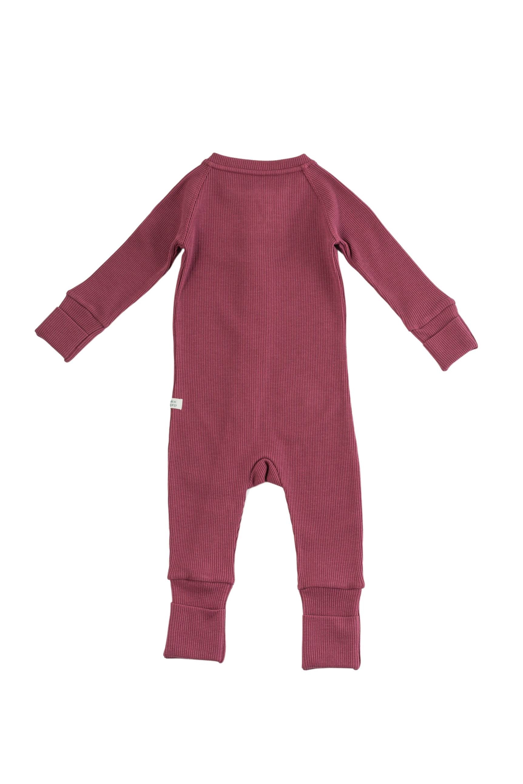 Gaufrier-Dormant-Sucre-Plum-4