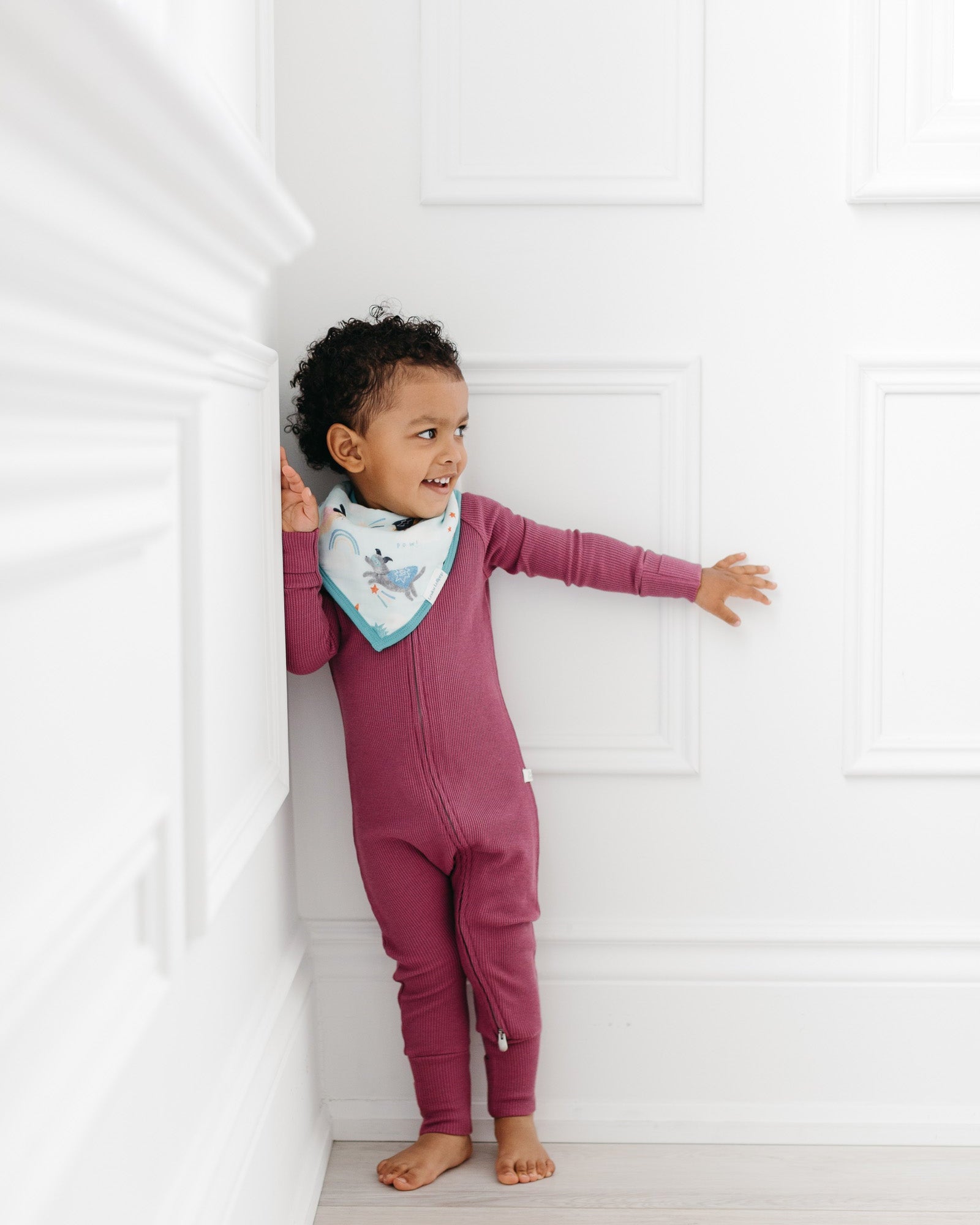 Gaufrier-Dormant-Sucre-Plum-2