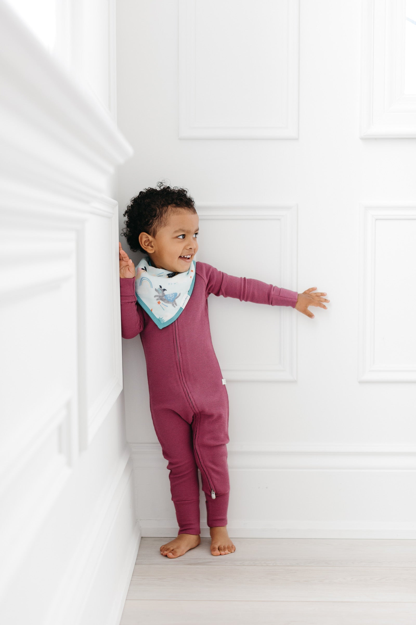 Gaufrier-Dormant-Sucre-Plum-2