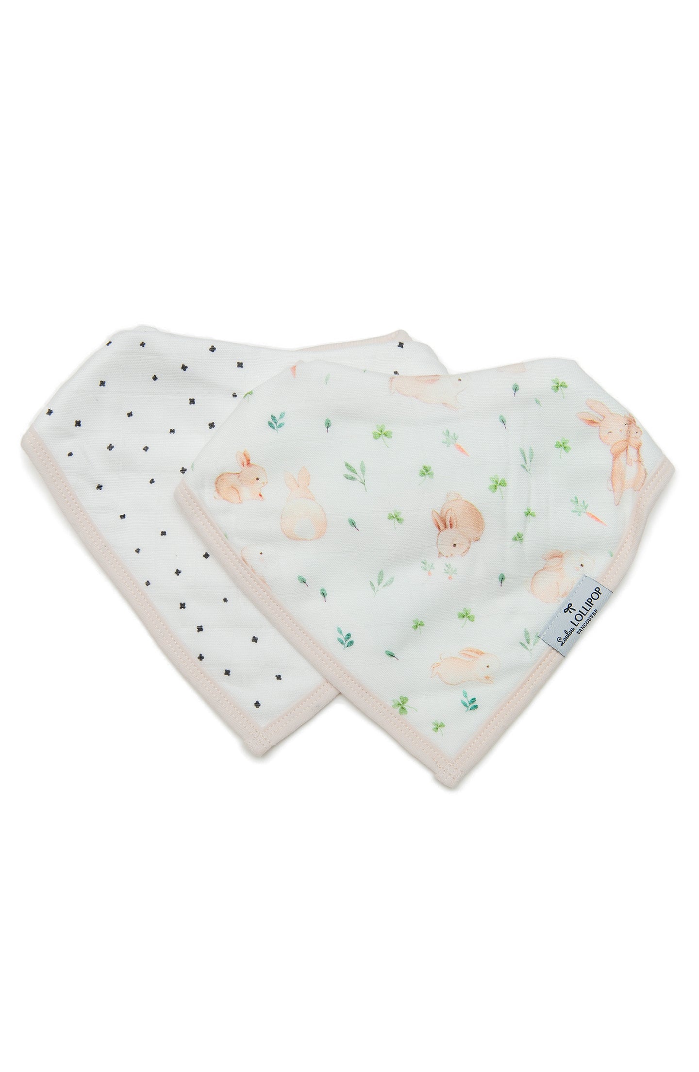 Bandana-Bib-Set-2-Pack-Bunny-Meadow-1