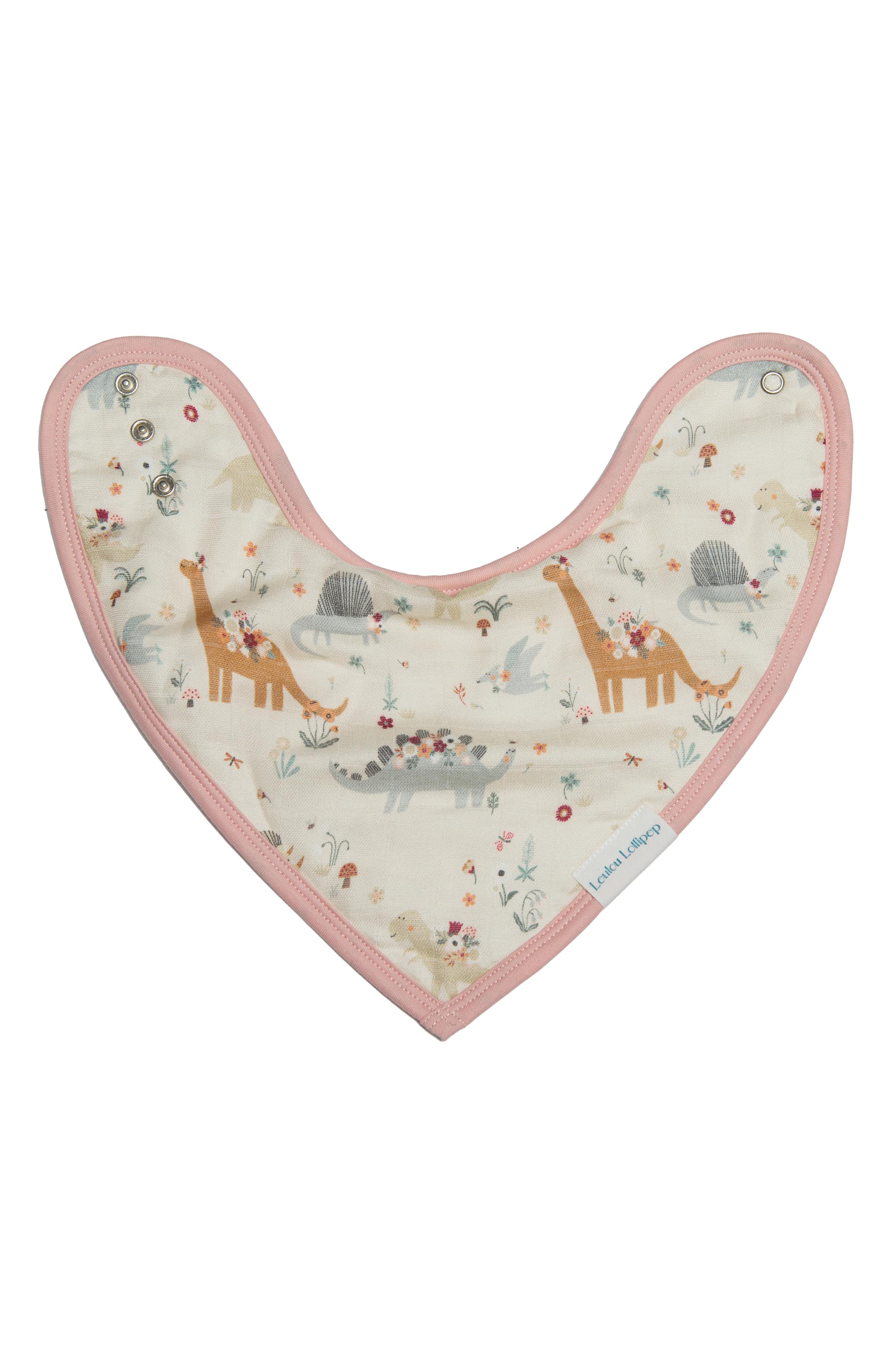 Bandana-Bib-Set-2-Pack-Baby-Dinomite-6