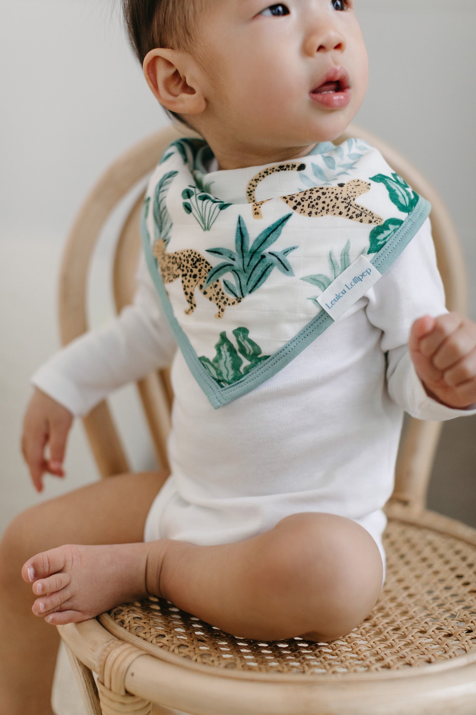 Bandana-Bib-Set-2-Pack-Tropical-Jungle-2