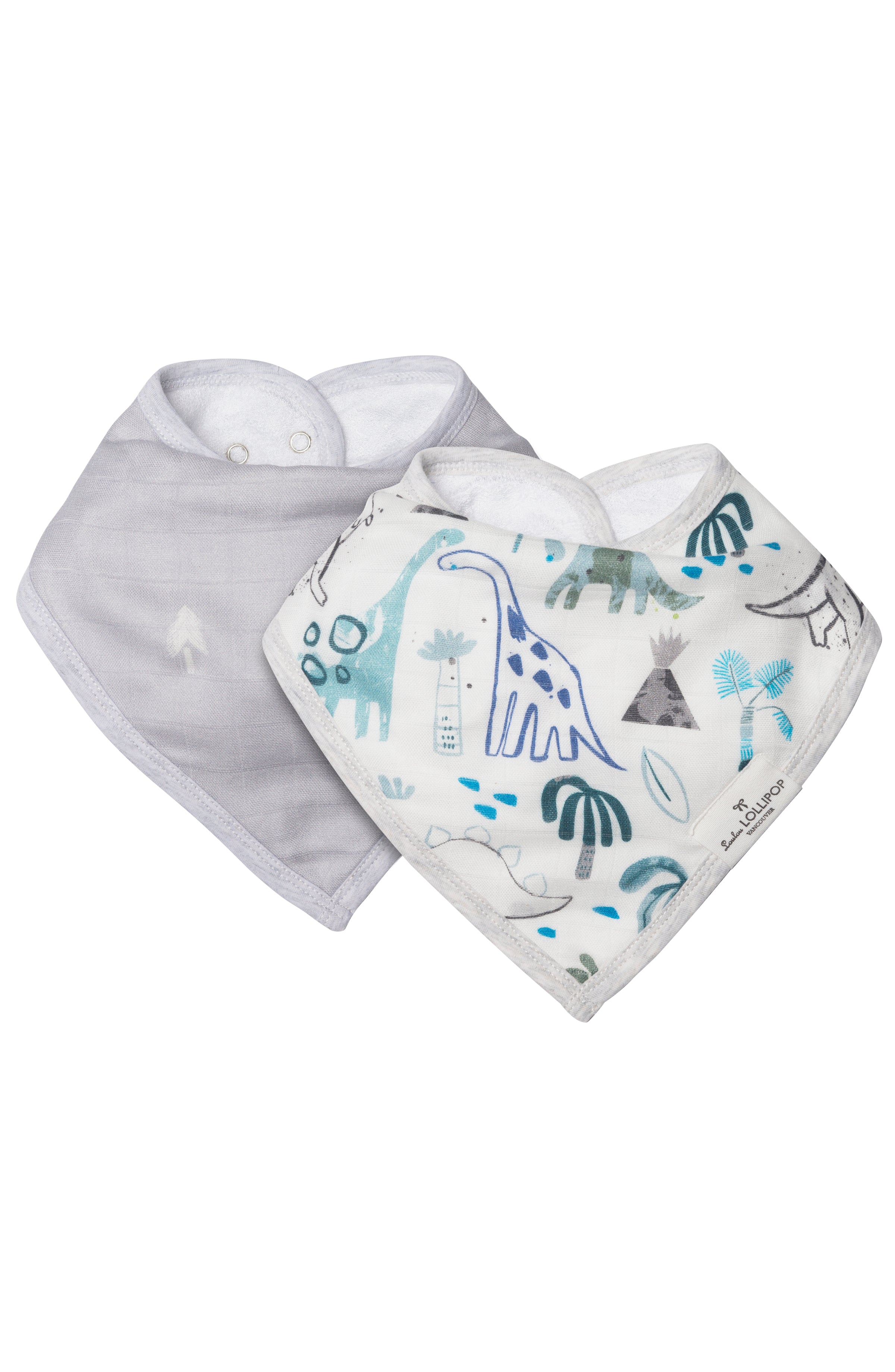 Bandana-Bib-Set-2-Pack-Dinosaurs-1